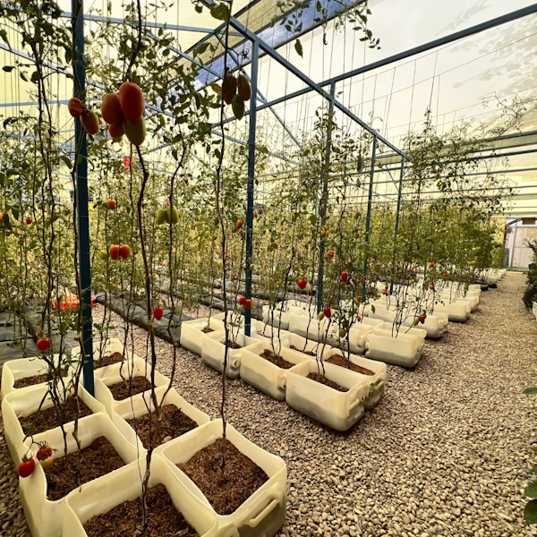 Parque Agroindustrial Sostenible “Grow Green”