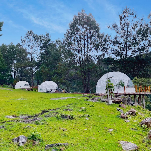 Vive Green Glamping - Coranipampa